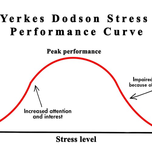 Yerkes Dodson Stress Performance Curve Yerkes Dodson Stress Performance Curve - FarrerHealth